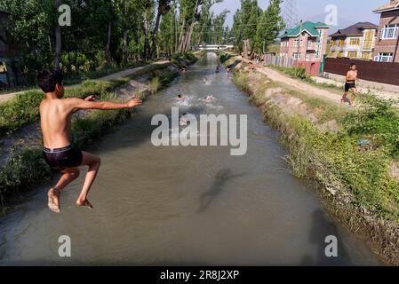 Pulwama, Indien. 21. Juni 2023. Ein Junge springt an einem heißen Tag in Pulwama in einen Kanal. Die Höchsttemperatur in Srinagar stieg auf 34,0°C und lag für die Saison 4,8°C über dem Normalwert. Die Temperatur von heute überstieg die vorige Höchsttemperatur von 33,3°C, die erst gestern verzeichnet wurde, sagte der Beamte. (Foto: Idrees Abbas/SOPA Images/Sipa USA) Guthaben: SIPA USA/Alamy Live News Stockfoto