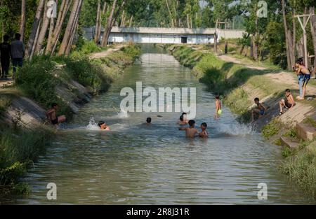 Pulwama, Indien. 21. Juni 2023. Kashmiri-Jungs sahen, wie sie an einem heißen Tag in Srinagar in einem Kanal badeten. Die Höchsttemperatur in Srinagar stieg auf 34,0°C und lag für die Saison 4,8°C über dem Normalwert. Die Temperatur von heute überstieg die vorige Höchsttemperatur von 33,3°C, die erst gestern verzeichnet wurde, sagte der Beamte. (Foto: Idrees Abbas/SOPA Images/Sipa USA) Guthaben: SIPA USA/Alamy Live News Stockfoto