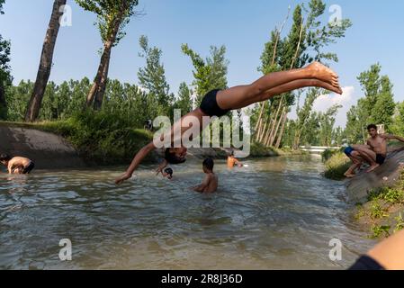 Pulwama, Indien. 21. Juni 2023. Ein Junge springt an einem heißen Tag in Pulwama in einen Kanal. Die Höchsttemperatur in Srinagar stieg auf 34,0°C und lag für die Saison 4,8°C über dem Normalwert. Die Temperatur von heute überstieg die vorige Höchsttemperatur von 33,3°C, die erst gestern verzeichnet wurde, sagte der Beamte. (Foto: Idrees Abbas/SOPA Images/Sipa USA) Guthaben: SIPA USA/Alamy Live News Stockfoto