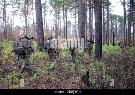 27. Mai 2023 - Hoffman, North Carolina, USA - Spezialeinsatzkandidaten für die USA Army John F. Kennedy Special Warfare Center and School Knie nieder, während sie in der letzten Phase des Feldtrainings, bekannt als Robin Sage, in der Mitte von North Carolina am 27. Mai 2023 durch ein bewaldetes Gebiet wandern. Robin Sage ist die Kulminationsübung für Soldaten im Qualifizierungskurs der Spezialkräfte und ist seit mehr als 50 Jahren der Lackmustest für Soldaten, die sich die Green Beret verdienen wollen. (Kreditbild: © K. Kassens/USA Army/ZUMA Press Wire Service) NUR FÜR REDAKTIONELLE ZWECKE! Nicht für gewerbliche VERWENDUNG Stockfoto