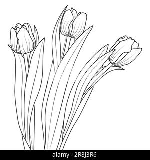 Line Art Tulpenblüten, vektorisolierte Illustration Stock Vektor