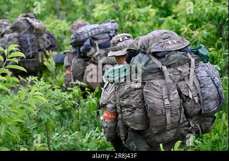 27. Mai 2023 - Hoffman, North Carolina, USA - Spezialeinsatzkandidaten für die USA Army John F. Kennedy Special Warfare Center and School Knie nieder, während sie in der letzten Phase des Feldtrainings, bekannt als Robin Sage, in der Mitte von North Carolina am 27. Mai 2023 durch ein bewaldetes Gebiet wandern. Robin Sage ist die Kulminationsübung für Soldaten im Qualifizierungskurs der Spezialkräfte und ist seit mehr als 50 Jahren der Lackmustest für Soldaten, die sich die Green Beret verdienen wollen. (Kreditbild: © K. Kassens/USA Army/ZUMA Press Wire Service) NUR FÜR REDAKTIONELLE ZWECKE! Nicht für gewerbliche VERWENDUNG Stockfoto