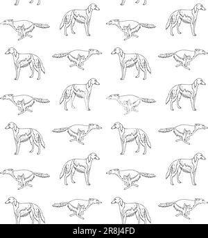 Vektornahtloses Muster einer handgezeichneten Zeichnung eines russischen Borzoi-Hundes, isoliert auf weißem Hintergrund Stock Vektor