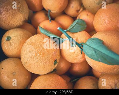 Orangen. Ein Haufen reifer Bio-Orangen mit Blättern auf einem Bauernmarkt Stockfoto