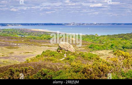 Agglestone Rock im Studland Nature Reserve an einem sonnigen Tag, glühende Sträucher, Bournemouth über dem Meer in der Ferne. Stockfoto