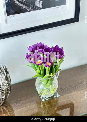 Didiers Tulpen auf einem Glastisch Stockfoto