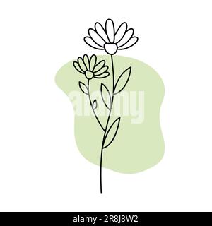Blumensymbol mit Kamillenlinie und abstrakter Form. Vektordarstellung Stock Vektor