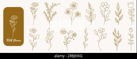 Ein Set mit Wildblumen und Blättern. Vektordarstellung isoliert auf weißem Hintergrund Stock Vektor