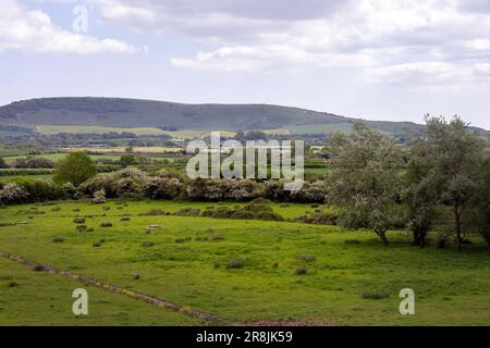 Blick auf die Landschaft in Wealden, East Sussex, England, im Frühling wird der Long man of Wilmington im Hintergrund auf dem Hügel Stockfoto