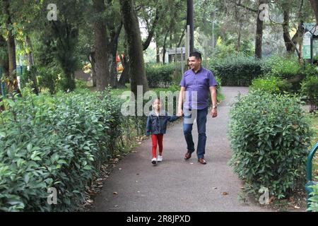 Ein geschiedener alleinerziehender Vater und eine braunhaarige, 4-jährige Latino-Tochter gehen gemeinsam im Park spazieren, verbringen Zeit und freuen sich auf eine Zukunft Stockfoto