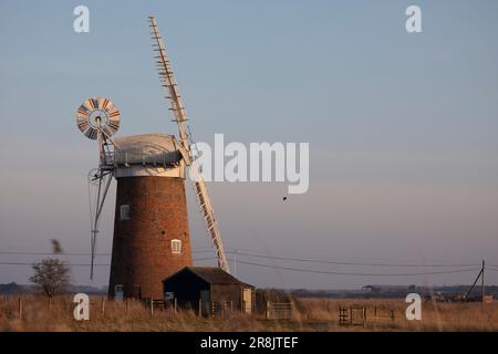 Pferdewindpumpe in der Abenddämmerung im Februar, Norfolk, England, Großbritannien Stockfoto