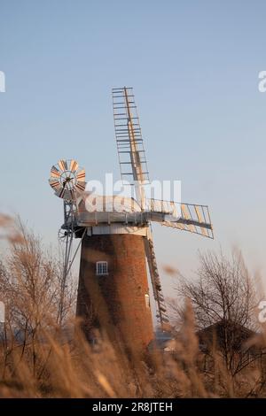 Pferdewindpumpe in der Abenddämmerung im Februar, Norfolk, England, Großbritannien Stockfoto