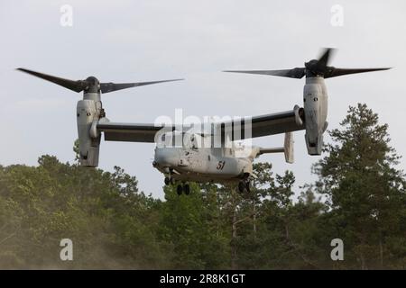 Ein MV-22 Osprey startet während der Übung Burma Chase an Bord des Marine Corps Base Camp Lejeune, North Carolina, 23. Mai 2023. Burmese Chase ist eine jährliche, von den USA geführte, multilaterale Übung, die neben NATO-Verbündeten und -Partnern Schulungen zur Integration von Boden- und Luftfeuern, Infanterietaktiken und Marineschüssen umfasst. (USA Marinekorps (Foto: Lance CPL. John Allen) Stockfoto