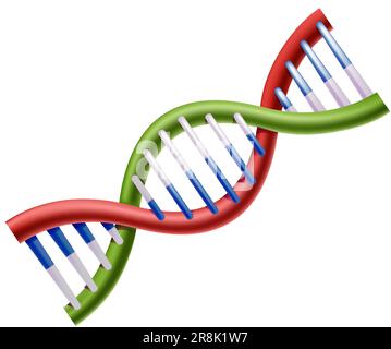 3D realistisches Vektorsymbol der dna. Mediales Konzept und Element. Stock Vektor