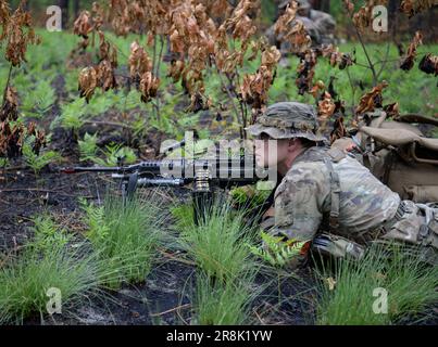 Ein Spezialeinsatzkandidat, der den USA zugeteilt wurde Army John F. Kennedy Special Warfare Center and School bietet Sicherheit während einer Bewegung durch ein bewaldetes Gebiet in der Nähe von Hoffman, NC, im Rahmen der letzten Phase des Feldtrainings, bekannt als Robin Sage in Central North Carolina, am 27. Mai 2023. Robin Sage ist die Kulminationsübung für Soldaten im Qualifizierungskurs der Spezialkräfte und ist seit mehr als 50 Jahren der Lackmustest für Soldaten, die sich die Green Beret verdienen wollen. (USA Armeefoto von K. Kassens) Stockfoto