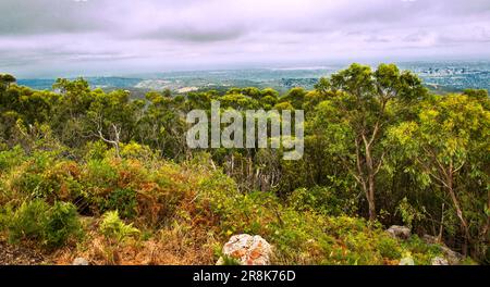 Panoramablick auf die Ebenen und Ausläufer von Adelaide vom Mount Lofty Summit, Südaustralien Stockfoto