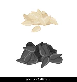 Geröstete und rohe Sonnenblumenkerne. Ungeschälte und geschälte Samen. Vektordarstellung im trendigen flachen Stil, isoliert auf weißem Hintergrund. Stock Vektor