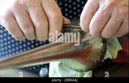 Rostock, Deutschland. 21. Juni 2023. Auf dem 19. Internationalen Workshop für die Trompetenherstellung im Handwerkertrainingscenter bauen die zehn Teilnehmer aus Deutschland, Spanien, Dänemark und den USA eine lange Trompete (ohne Löcher), die auf einem Original von Hans Hainlein aus dem Jahr 1632 unter fachkundiger Anleitung von Michael Münkwitz, Meisterhandwerker in der Herstellung von Metall- und Holzwindgeräten, innerhalb einer Woche. Münkwitzt hat in den letzten Jahren mehr als 850 Werkstattteilnehmer aus der ganzen Welt betreut. Kredit: Bernd Wüstneck/dpa/Alamy Live News Stockfoto