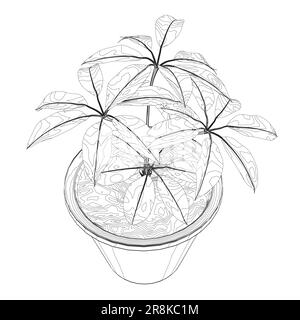 Pflanze in Blumentopf-Umriss. Linie, durchgehende und gefüllte Kontur, Kontur und gefülltes Vektorzeichen. Hauspflanzensymbol. Blumen in Töpfen, schwarz gestrichen Stock Vektor