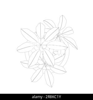 Pflanze in Blumentopf-Umriss. Linie, durchgehende und gefüllte Kontur, Kontur und gefülltes Vektorzeichen. Hauspflanzensymbol. Blumen in Töpfen, schwarz gestrichen Stock Vektor