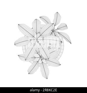 Pflanze in Blumentopf Drahtmodell. Drahtmodellversion der Linie, Umriss und gefülltes Vektorzeichen. Hauspflanzensymbol. Blumen in Töpfen mit schwarzer Linie auf einem weißen Streifen Stock Vektor