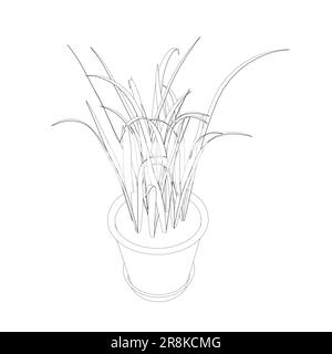 Pflanze in Blumentopf-Umriss. Linie, durchgehende und gefüllte Kontur, Kontur und gefülltes Vektorzeichen. Hauspflanzensymbol. Blumen in Töpfen, schwarz gestrichen Stock Vektor