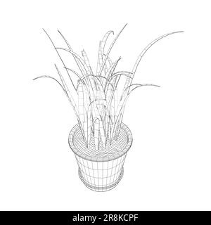 Pflanze in Blumentopf Drahtmodell. Drahtmodellversion der Linie, Umriss und gefülltes Vektorzeichen. Hauspflanzensymbol. Blumen in Töpfen mit schwarzer Linie auf einem weißen Streifen Stock Vektor