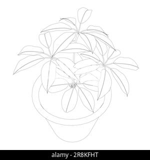 Pflanze in Blumentopf-Umriss. Linie, durchgehende und gefüllte Kontur, Kontur und gefülltes Vektorzeichen. Hauspflanzensymbol. Blumen in Töpfen, schwarz gestrichen Stock Vektor