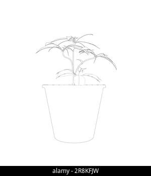 Pflanze in Blumentopf-Umriss. Linie, durchgehende und gefüllte Kontur, Kontur und gefülltes Vektorzeichen. Hauspflanzensymbol. Blumen in Töpfen, schwarz gestrichen Stock Vektor
