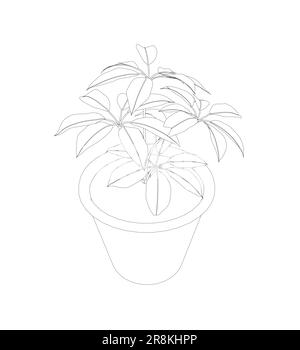 Pflanze in Blumentopf-Umriss. Linie, durchgehende und gefüllte Kontur, Kontur und gefülltes Vektorzeichen. Hauspflanzensymbol. Blumen in Töpfen, schwarz gestrichen Stock Vektor