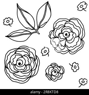 Rosenblumenkopf. Blumige botanische Blume. Handgezeichnete Tintenkunst. Isoliertes Rosenelement auf weiß isoliert. Stock Vektor