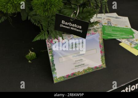 BBC Food and Gardens, Birmingham, Großbritannien 2023 Stockfoto