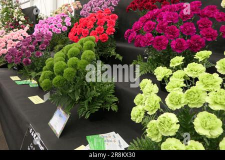 BBC Food and Gardens, Birmingham, Großbritannien 2023 Stockfoto