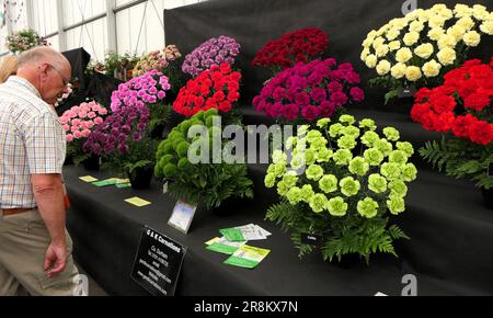 BBC Food and Gardens, Birmingham, Großbritannien 2023 Stockfoto