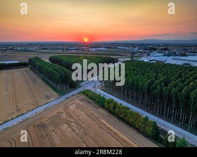 Luftaufnahme der Stadt Mollerussa bei Sonnenuntergang (Pla d'Urgell, Lleida, Katalonien, Spanien) ESP: Vista aérea de la ciudad de Mollerussa al atardecer Stockfoto