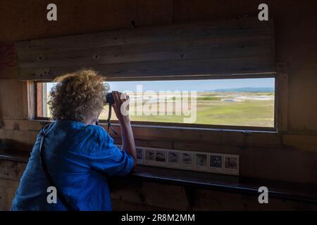 Rye East Sussex, England, Großbritannien - Vogelbeobachterin mit Fernglas und Blick auf das Naturschutzgebiet Sussex Wildlife Trust Rye Harbour aus einem Vogelhäuschen Stockfoto