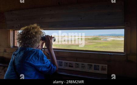 Rye East Sussex, England, Großbritannien - Vogelbeobachterin mit Fernglas und Blick auf das Naturschutzgebiet Sussex Wildlife Trust Rye Harbour aus einem Vogelhäuschen Stockfoto