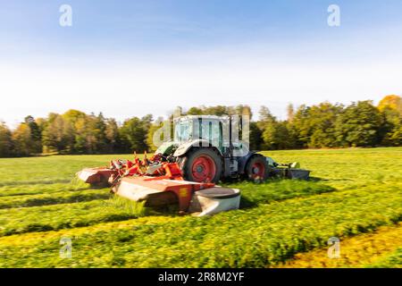 Traktor mäht Gras auf der Wiese Stockfoto