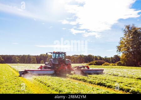 Traktor mäht Gras auf der Wiese Stockfoto