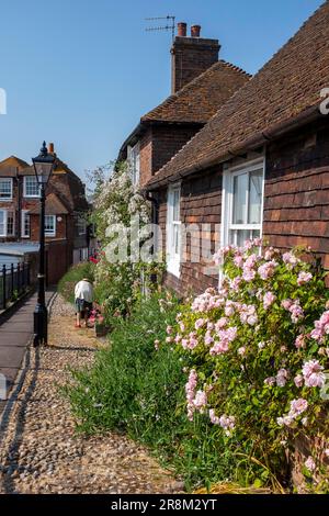 Rye East Sussex, England Großbritannien - wunderschöne Rosen in voller Blüte außerhalb der Hütten im Stadtzentrum von Rye Stockfoto