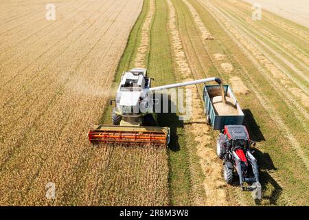 Draufsicht des Mähdreschers im Feldeinsatz Stockfoto