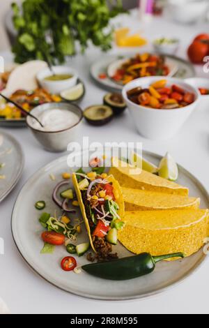 Gesundes Festmahl mit verschiedenen mexikanischen Speisen Stockfoto