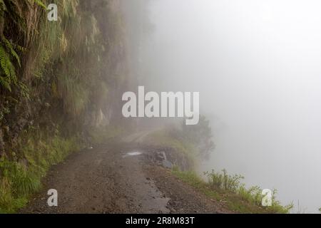 Fahren Sie auf der berühmten Todesstraße, dem „Camino de la Muerte“, in den bolivianischen Anden nahe La Paz - Reisen und Erkunden der Yungas Stockfoto