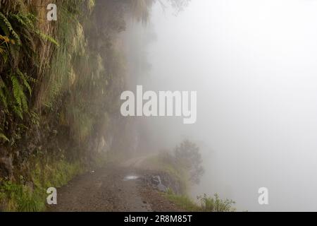 Fahren Sie auf der berühmten Todesstraße, dem „Camino de la Muerte“, in den bolivianischen Anden nahe La Paz - Reisen und Erkunden der Yungas Stockfoto