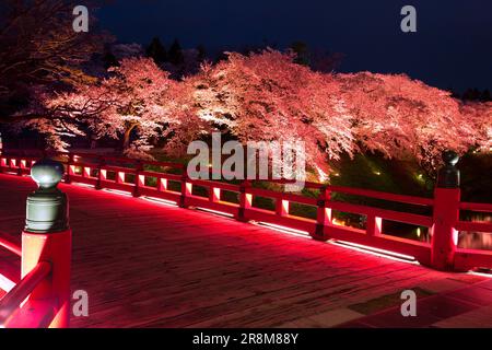 Korridorbrücke und nächtliche Kirschblüten im Schloss Tsurugajo Stockfoto