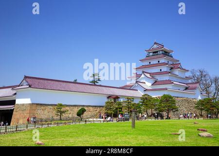 Schloss Tsuruga und Kirschblüten Stockfoto