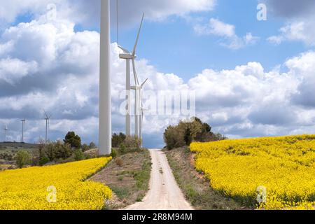 Windturbinen zwischen landwirtschaftlichen Feldern mit Rapspflanzen auf den Hügeln der Provinz Tarragona in Spanien Stockfoto