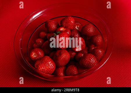 Erdbeeren in einer Schüssel Stockfoto