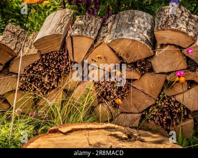 Insektenhotel aus gestapelten Baumstämmen, mit Stöcken und Tannenzapfen in den Spalten. Stockfoto