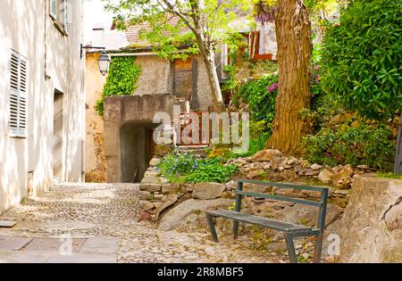 Der kleine Hof in der Altstadt mit üppigem Grün, leuchtenden Blumen, schäbigen Häusern und einer kleinen Holzbank, Corte, Korsika, Frankreich Stockfoto